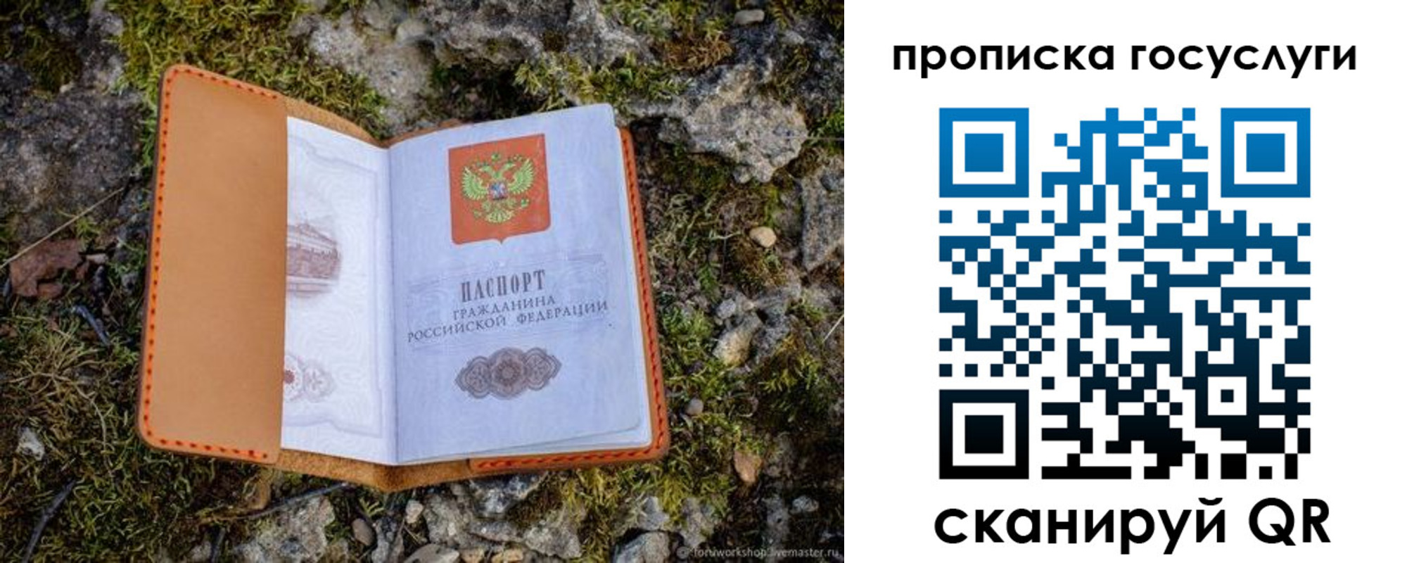 временная регистрация купить в Зее